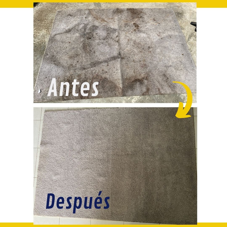 limpieza de alfombra